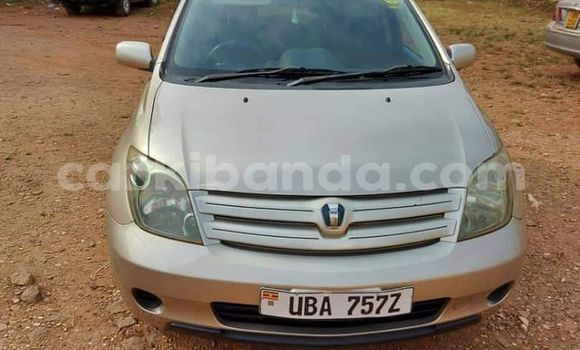 Buy Used Toyota IST Beige Car in Kampala in Uganda