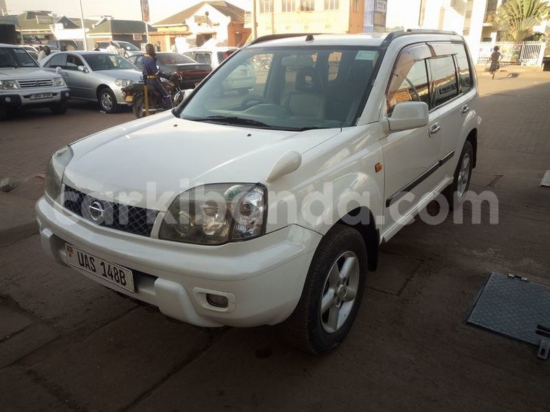 Big with watermark 43055504 497840707356492 9193865289408708608 n