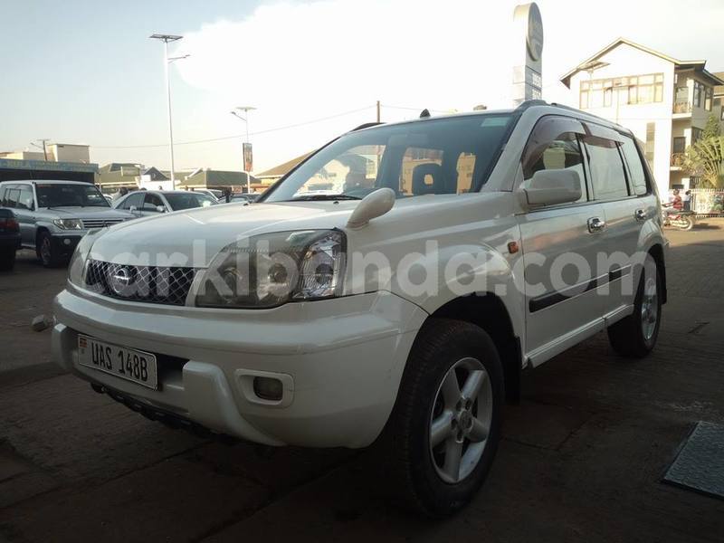 Big with watermark 43122190 497840547356508 2538058705358815232 n