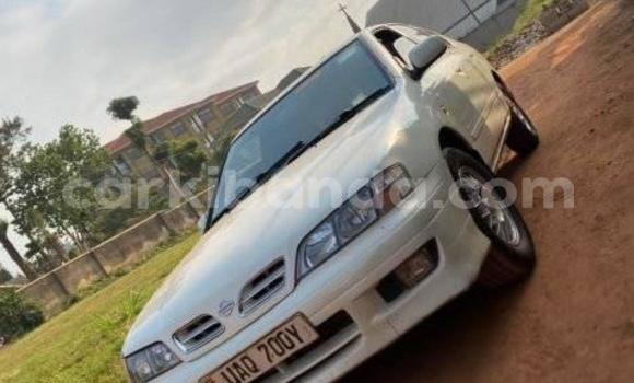 Acheter Occasion Voiture Nissan Primera Blanc à Kampala, Ouganda