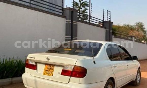 Gura Yakoze Nissan Primera White Imodoka i Kampala mu Uganda Gura Yakoze Nissan Primera White Imodoka i Kampala mu Uganda