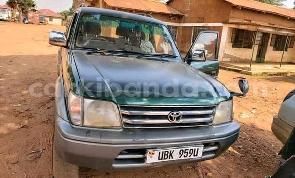 Buy Used Toyota Land Cruiser Prado Green Car in Kampala in Uganda Buy Used Toyota Land Cruiser Prado Green Car in Kampala in Uganda