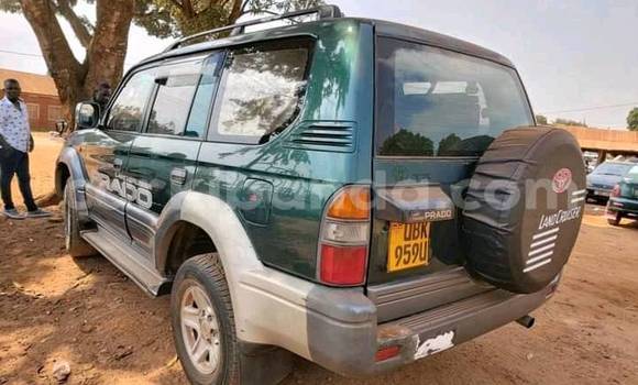 Buy Used Toyota Land Cruiser Prado Green Car in Kampala in Uganda Buy Used Toyota Land Cruiser Prado Green Car in Kampala in Uganda