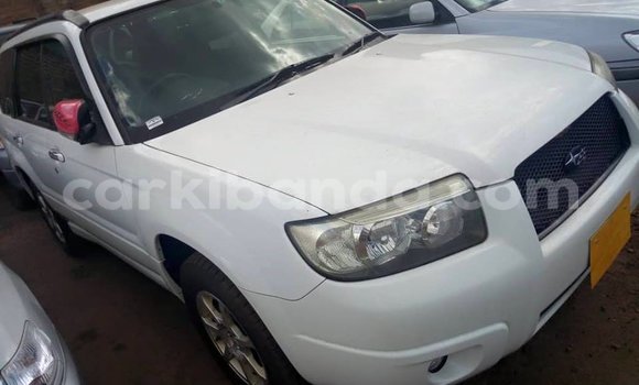Buy Used Subaru Forester White Car in Kampala in Uganda Buy Used Subaru Forester White Car in Kampala in Uganda