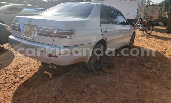 Buy Used Toyota Premio Silver Car in Kampala in Uganda Buy Used Toyota Premio Silver Car in Kampala in Uganda