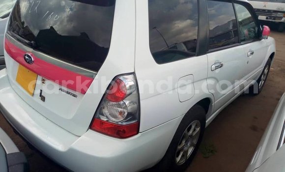 Buy Used Subaru Forester White Car in Kampala in Uganda Buy Used Subaru Forester White Car in Kampala in Uganda