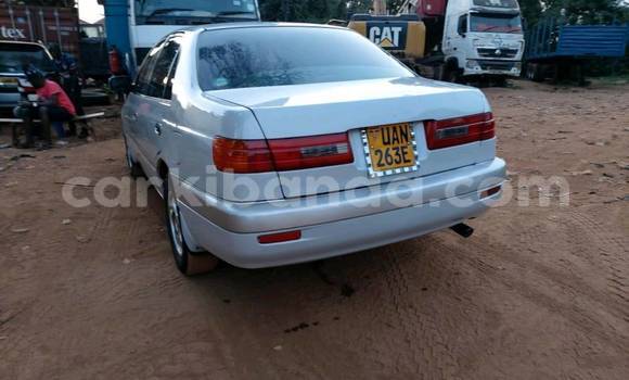 Buy Used Toyota Premio White Car in Kampala in Uganda Buy Used Toyota Premio White Car in Kampala in Uganda