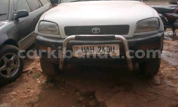 Buy Used Toyota RAV4 White Car in Kampala in Uganda Buy Used Toyota RAV4 White Car in Kampala in Uganda