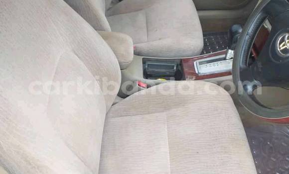 Buy Used Toyota RAV4 White Car in Kampala in Uganda Buy Used Toyota RAV4 White Car in Kampala in Uganda