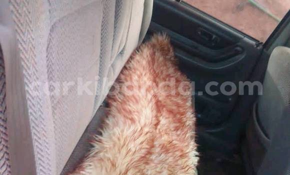 Buy Used Toyota RAV4 White Car in Kampala in Uganda Buy Used Toyota RAV4 White Car in Kampala in Uganda