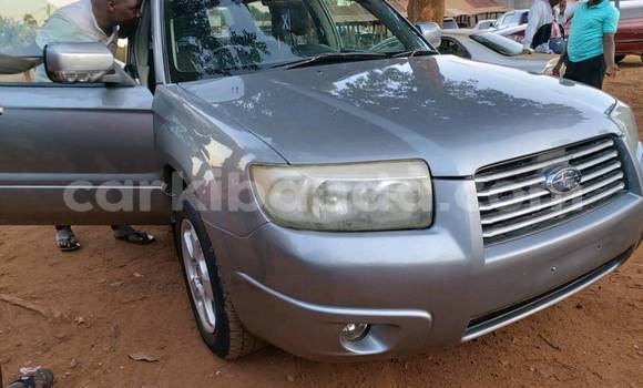 Buy Used Subaru Forester Other Car in Kampala in Uganda Buy Used Subaru Forester Other Car in Kampala in Uganda