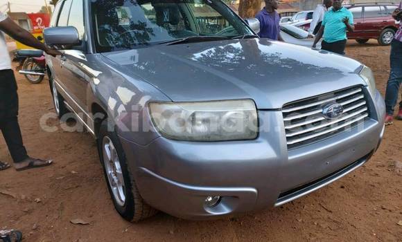 Buy Used Subaru Forester Other Car in Kampala in Uganda Buy Used Subaru Forester Other Car in Kampala in Uganda