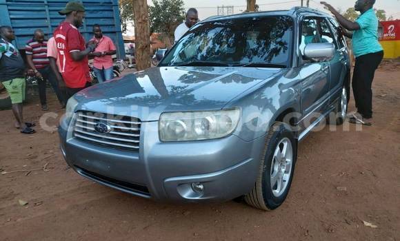 Buy Used Subaru Forester Other Car in Kampala in Uganda Buy Used Subaru Forester Other Car in Kampala in Uganda