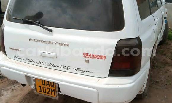 Buy Used Subaru Forester White Car in Kampala in Uganda Buy Used Subaru Forester White Car in Kampala in Uganda