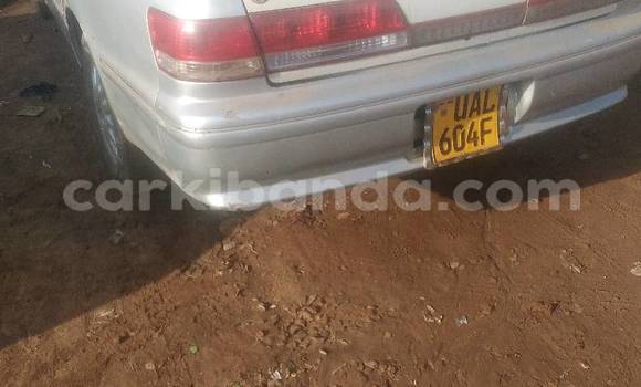 Buy Used Toyota Wish Silver Car in Kampala in Uganda Buy Used Toyota Wish Silver Car in Kampala in Uganda