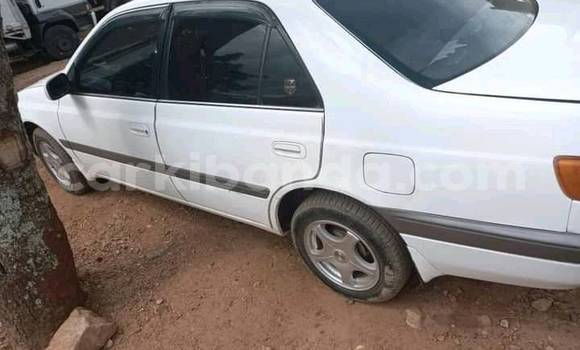 Buy Used Toyota Premio White Car in Kampala in Uganda Buy Used Toyota Premio White Car in Kampala in Uganda