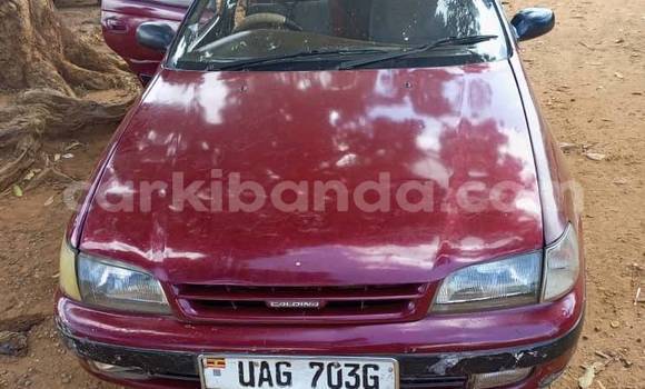 Nunua Ilio tumika Toyota Caldina Nyekundu Gari ndani ya Kampala nchini Uganda Nunua Ilio tumika Toyota Caldina Nyekundu Gari ndani ya Kampala nchini Uganda