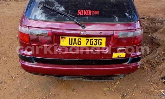 Buy Used Toyota Caldina Red Car in Kampala in Uganda Buy Used Toyota Caldina Red Car in Kampala in Uganda