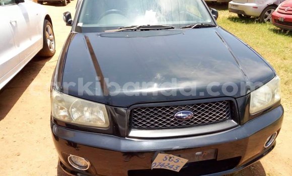Buy Used Subaru Forester Black Car in Kampala in Uganda Buy Used Subaru Forester Black Car in Kampala in Uganda