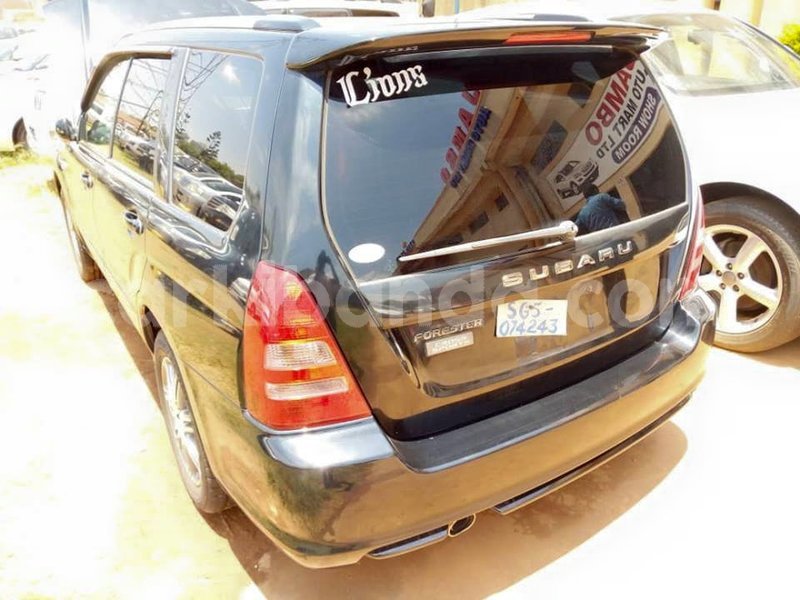 Big with watermark 42989573 706384736395465 2980839661431160832 n