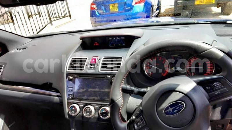 Big with watermark 42843238 706384493062156 7885400809737814016 n