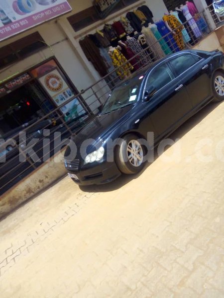 Big with watermark 42836299 706382229729049 4635968105661595648 n