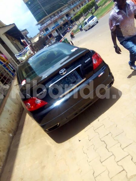 Big with watermark 42977548 706382233062382 6993223342287224832 n