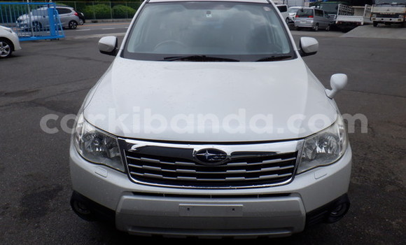 Buy Used Subaru Forester White Car in Kampala in Uganda Buy Used Subaru Forester White Car in Kampala in Uganda