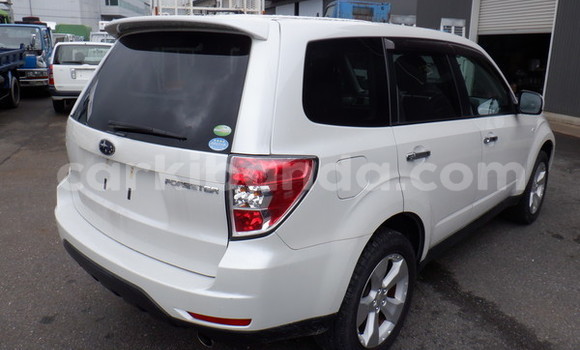 Buy Used Subaru Forester White Car in Kampala in Uganda Buy Used Subaru Forester White Car in Kampala in Uganda