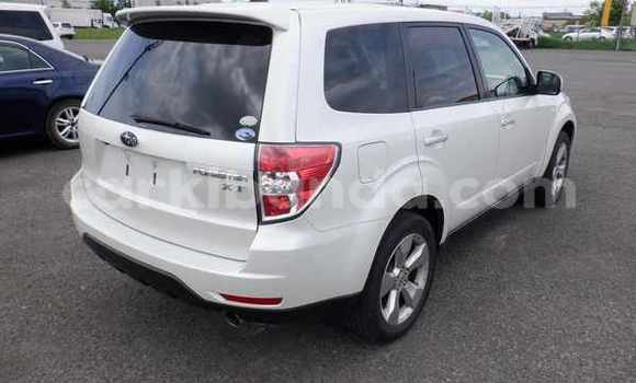 Buy Used Subaru Forester White Car in Kampala in Uganda Buy Used Subaru Forester White Car in Kampala in Uganda