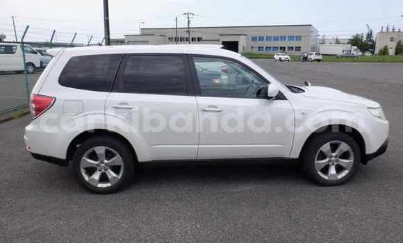 Buy Used Subaru Forester White Car in Kampala in Uganda Buy Used Subaru Forester White Car in Kampala in Uganda