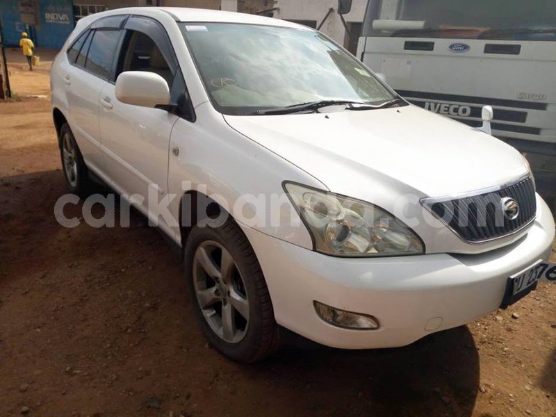 Big with watermark 42631219 704530969914175 2372621306760790016 n