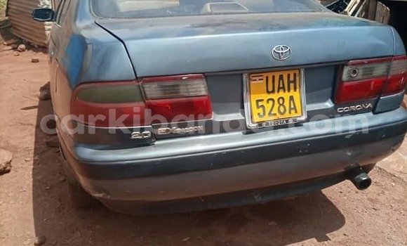 Nunua Ilio tumika Toyota Corona Bluu Gari ndani ya Kampala nchini Uganda Nunua Ilio tumika Toyota Corona Bluu Gari ndani ya Kampala nchini Uganda