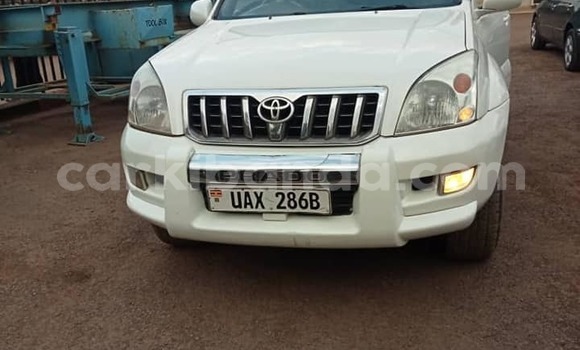 Buy Used Toyota Land Cruiser Prado White Car in Kampala in Uganda Buy Used Toyota Land Cruiser Prado White Car in Kampala in Uganda