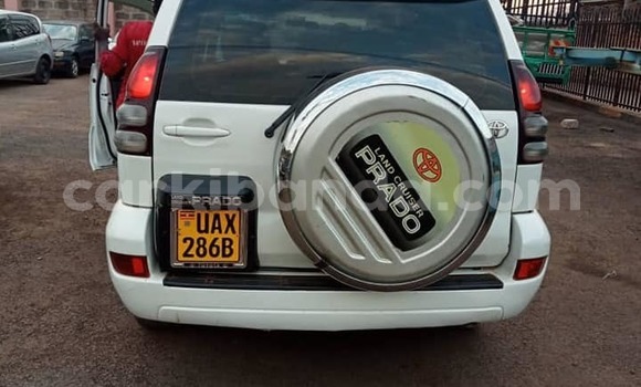 Nunua Ilio tumika Toyota Land Cruiser Prado Nyeupe Gari ndani ya Kampala nchini Uganda Nunua Ilio tumika Toyota Land Cruiser Prado Nyeupe Gari ndani ya Kampala nchini Uganda