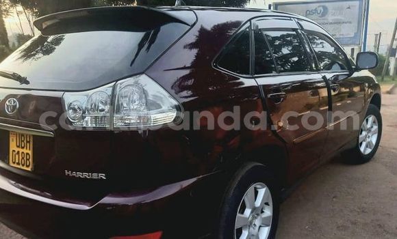 Nunua Ilio tumika Toyota Harrier Nyingine Gari ndani ya Kampala nchini Uganda Nunua Ilio tumika Toyota Harrier Nyingine Gari ndani ya Kampala nchini Uganda