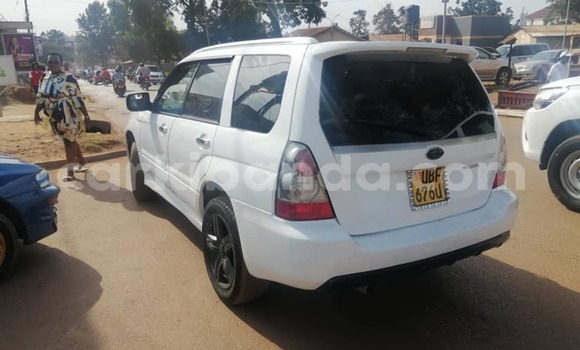 Nunua Ilio tumika Subaru Forester Nyeupe Gari ndani ya Kampala nchini Uganda Nunua Ilio tumika Subaru Forester Nyeupe Gari ndani ya Kampala nchini Uganda