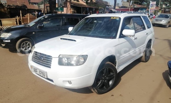 Nunua Ilio tumika Subaru Forester Nyeupe Gari ndani ya Kampala nchini Uganda Nunua Ilio tumika Subaru Forester Nyeupe Gari ndani ya Kampala nchini Uganda