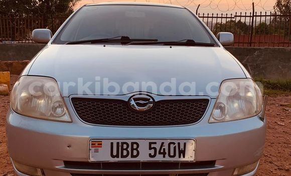 Acheter Occasion Voiture Toyota Allex Gris à Kampala, Ouganda