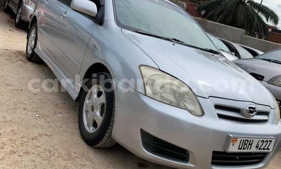 Buy Used Toyota Allex Silver Car in Kampala in Uganda
