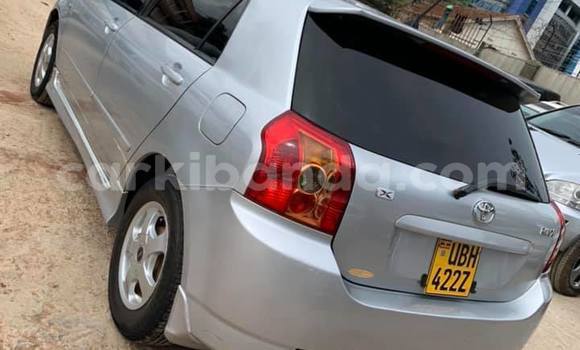 Acheter Occasion Voiture Toyota Allex Gris à Kampala, Ouganda Acheter Occasion Voiture Toyota Allex Gris à Kampala, Ouganda