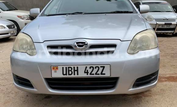 Acheter Occasion Voiture Toyota Allex Gris à Kampala, Ouganda Acheter Occasion Voiture Toyota Allex Gris à Kampala, Ouganda