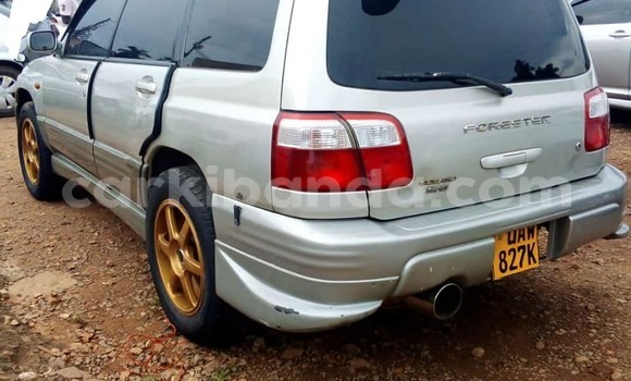 Acheter Occasion Voiture Subaru Forester Gris à Kampala, Ouganda Acheter Occasion Voiture Subaru Forester Gris à Kampala, Ouganda