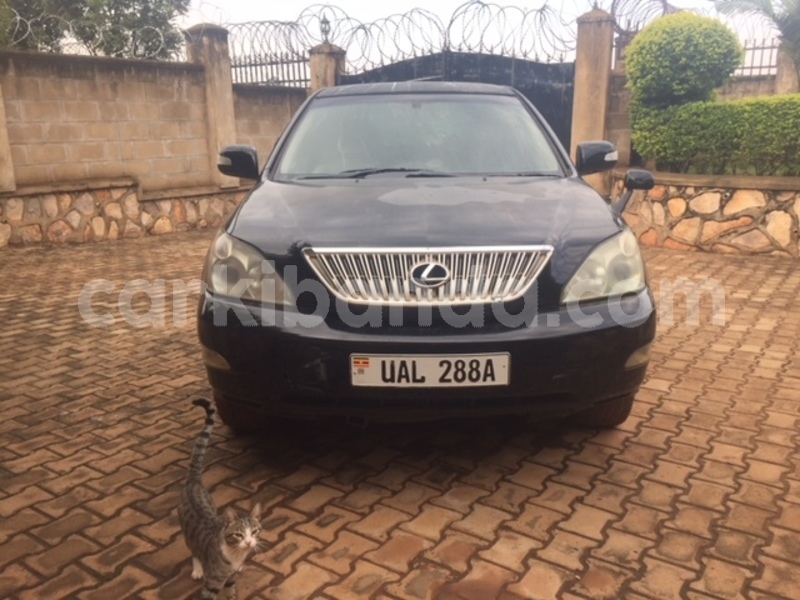 Big with watermark img 4654