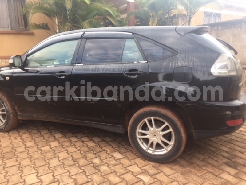 Big with watermark img 4649