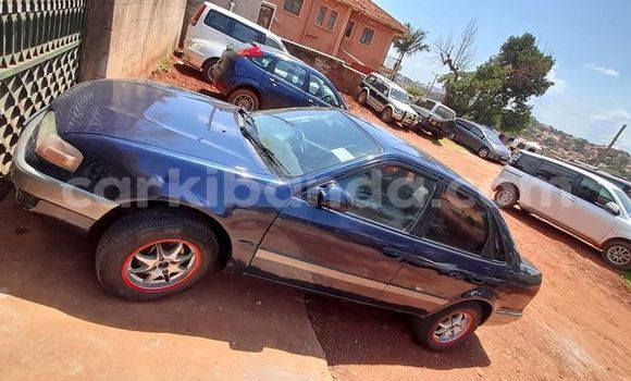 Acheter Occasion Voiture Toyota Corolla Bleu à Kampala, Ouganda Acheter Occasion Voiture Toyota Corolla Bleu à Kampala, Ouganda