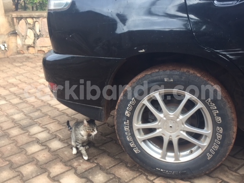 Big with watermark img 4665