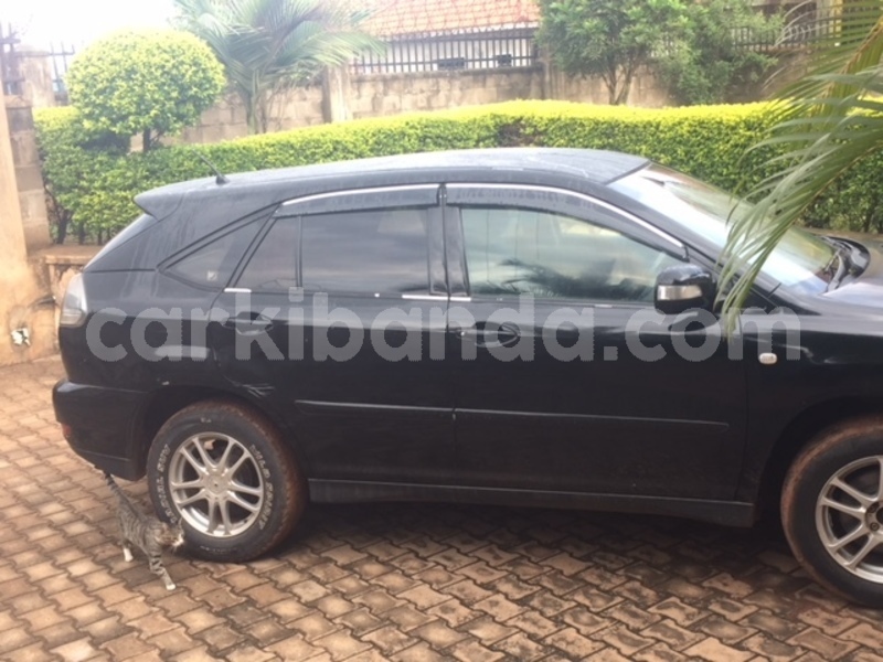 Big with watermark img 4670