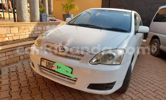 Nunua Ilio tumika Toyota Allex Nyeupe Gari ndani ya Kampala nchini Uganda