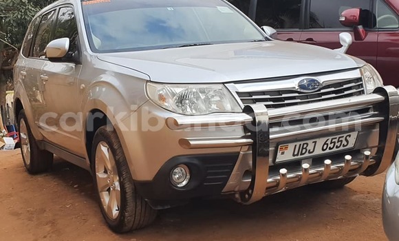 Gura Yakoze Subaru Forester Silver Imodoka i Kampala mu Uganda Gura Yakoze Subaru Forester Silver Imodoka i Kampala mu Uganda